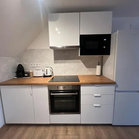 Vizililiom Vendeghaz